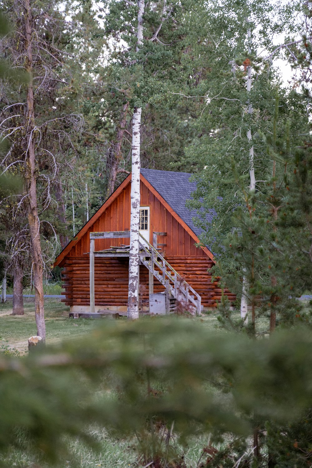 a cabin in the woods with stairs leading up to it