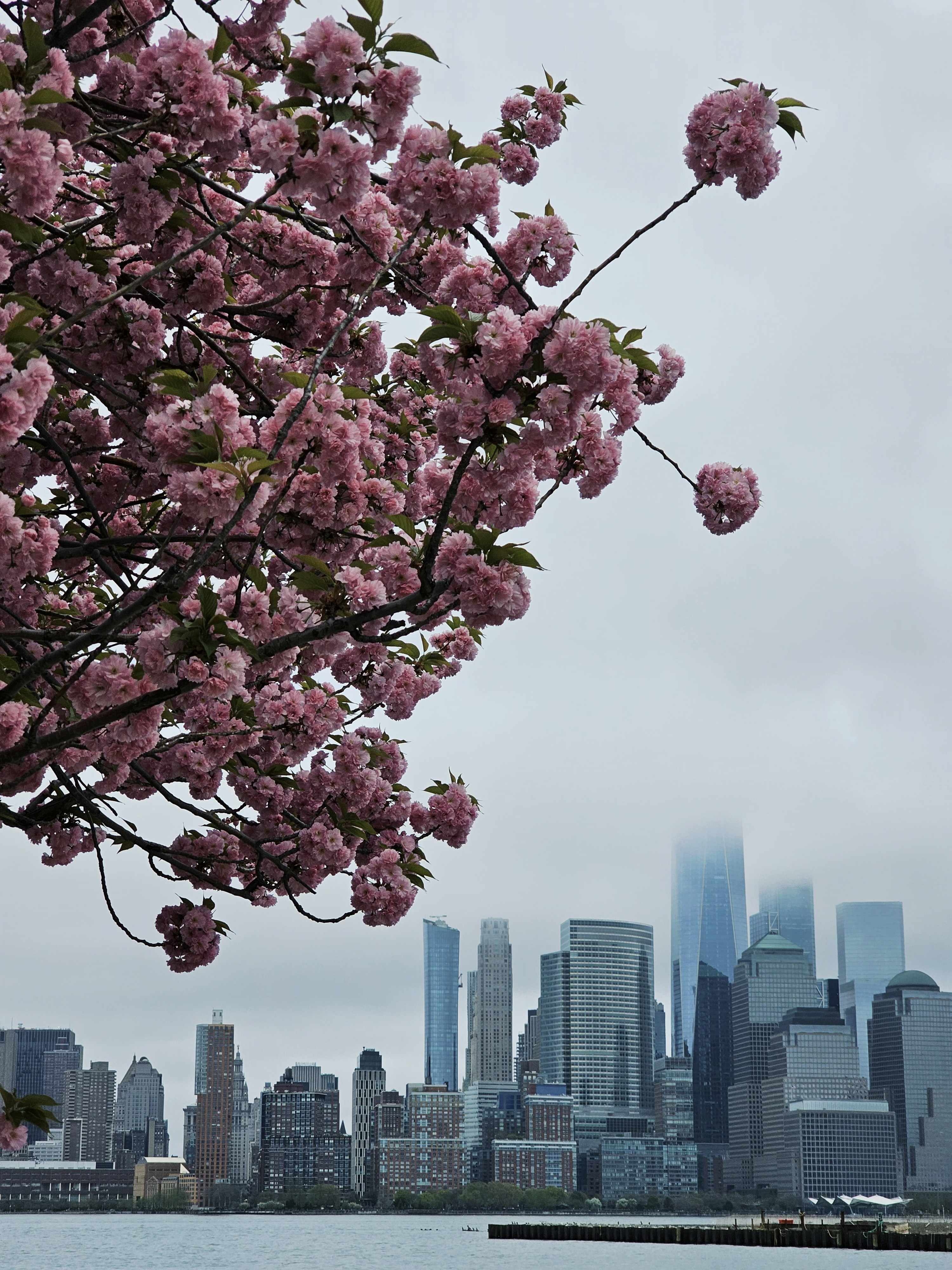 The Buyer’s Journey