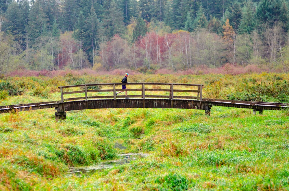 a person standing on a bridge in a field