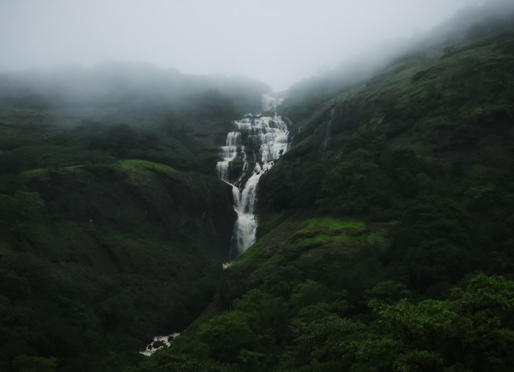 a waterfall in the middle of a lush green forest