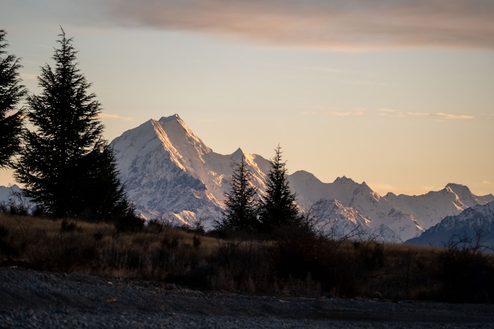 a view of a mountain range with trees in the foreground