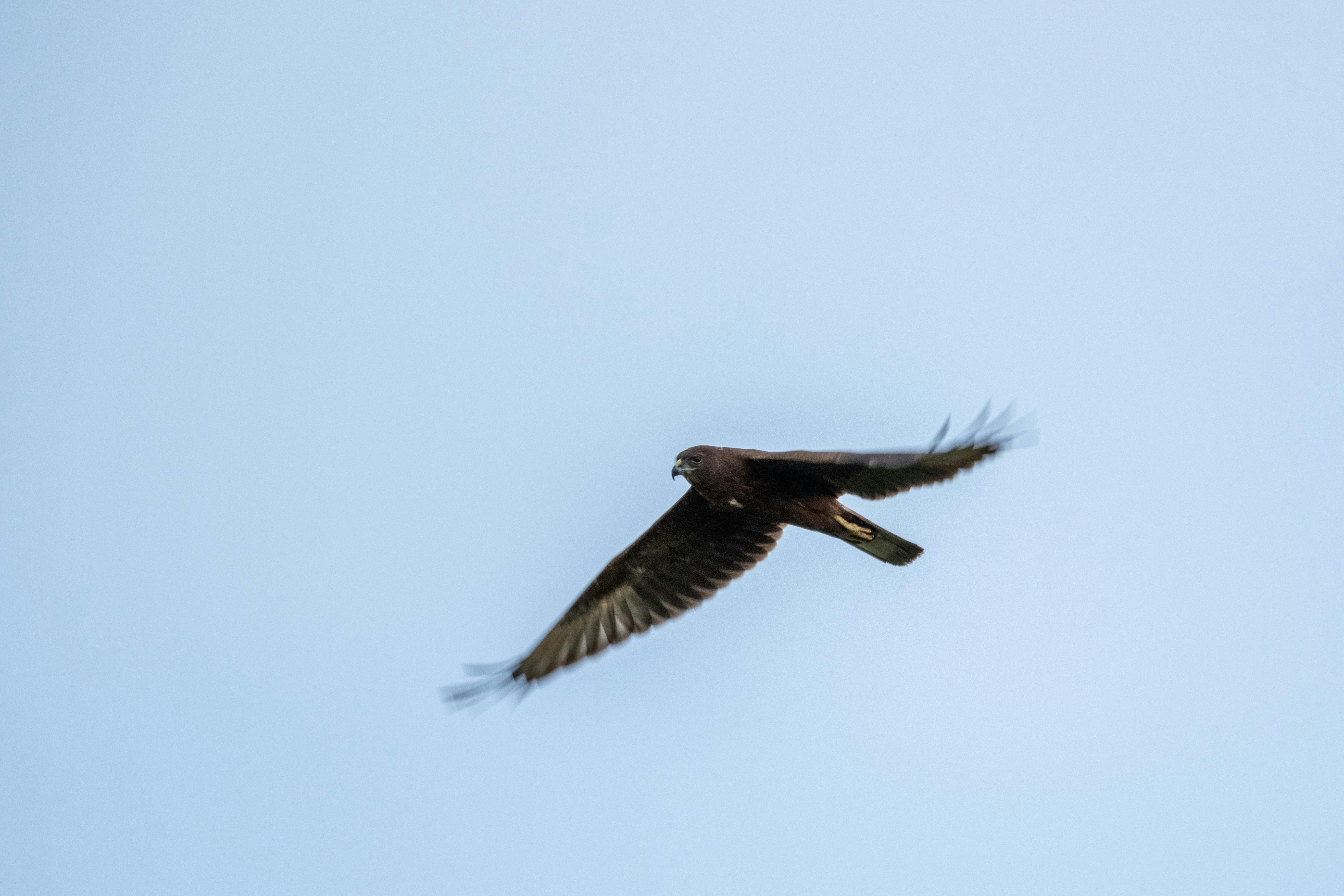 Photo by frerichkleyboldt