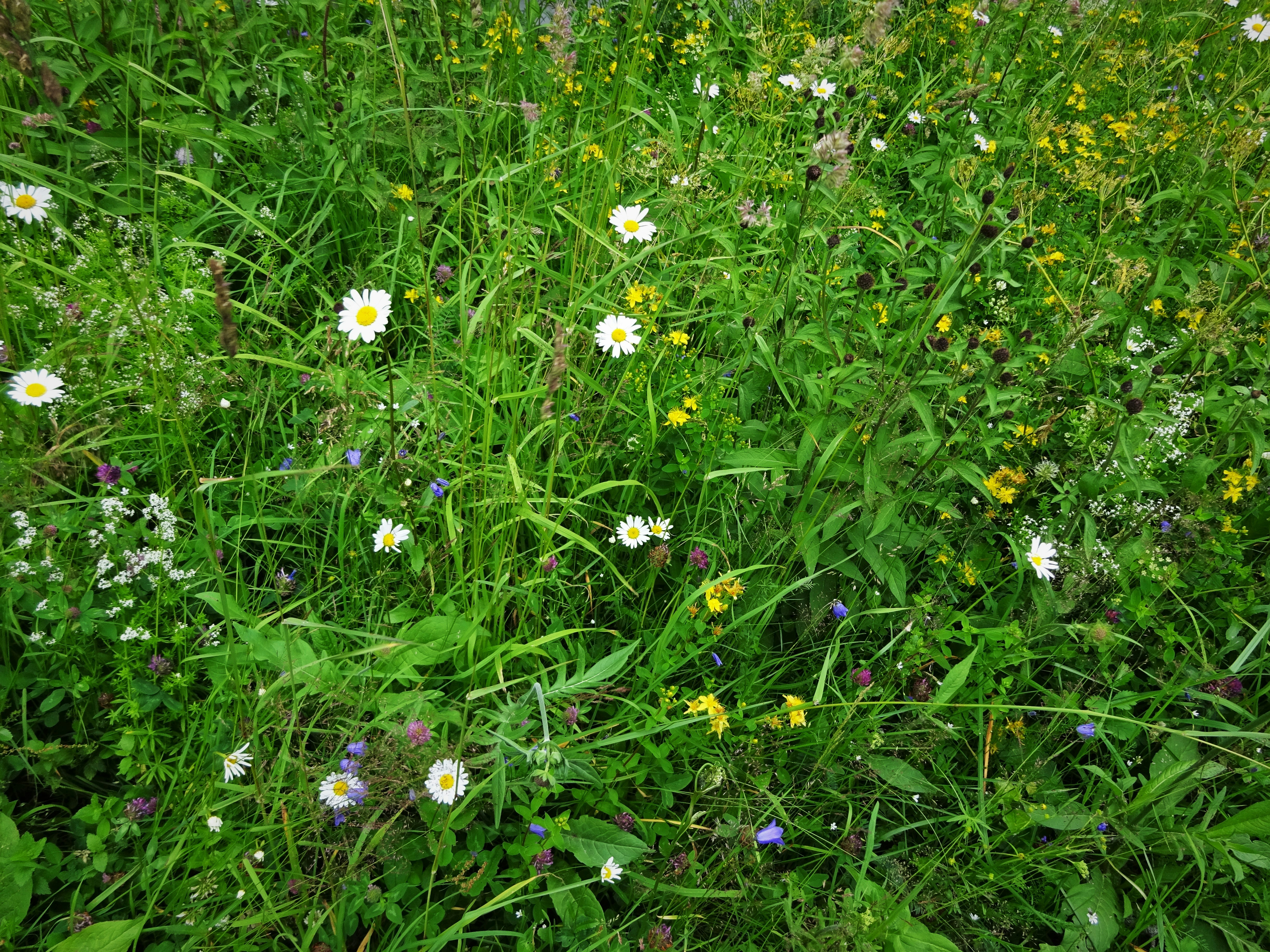 Photo by eriko_takahashi