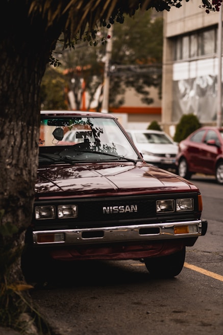 A vintage Nissan vehicle is parked partially behind a tree on a city street. The car's front is visible, displaying its logo, with the body painted in a shade of maroon. Surrounding the car are other vehicles parked nearby, and a building with reflective windows in the background. Lush green foliage adds a touch of nature to the urban setting.