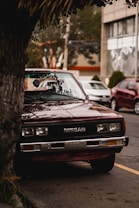 A vintage Nissan vehicle is parked partially behind a tree on a city street. The car's front is visible, displaying its logo, with the body painted in a shade of maroon. Surrounding the car are other vehicles parked nearby, and a building with reflective windows in the background. Lush green foliage adds a touch of nature to the urban setting.