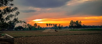 Sunset view over a peaceful rural land parcel.