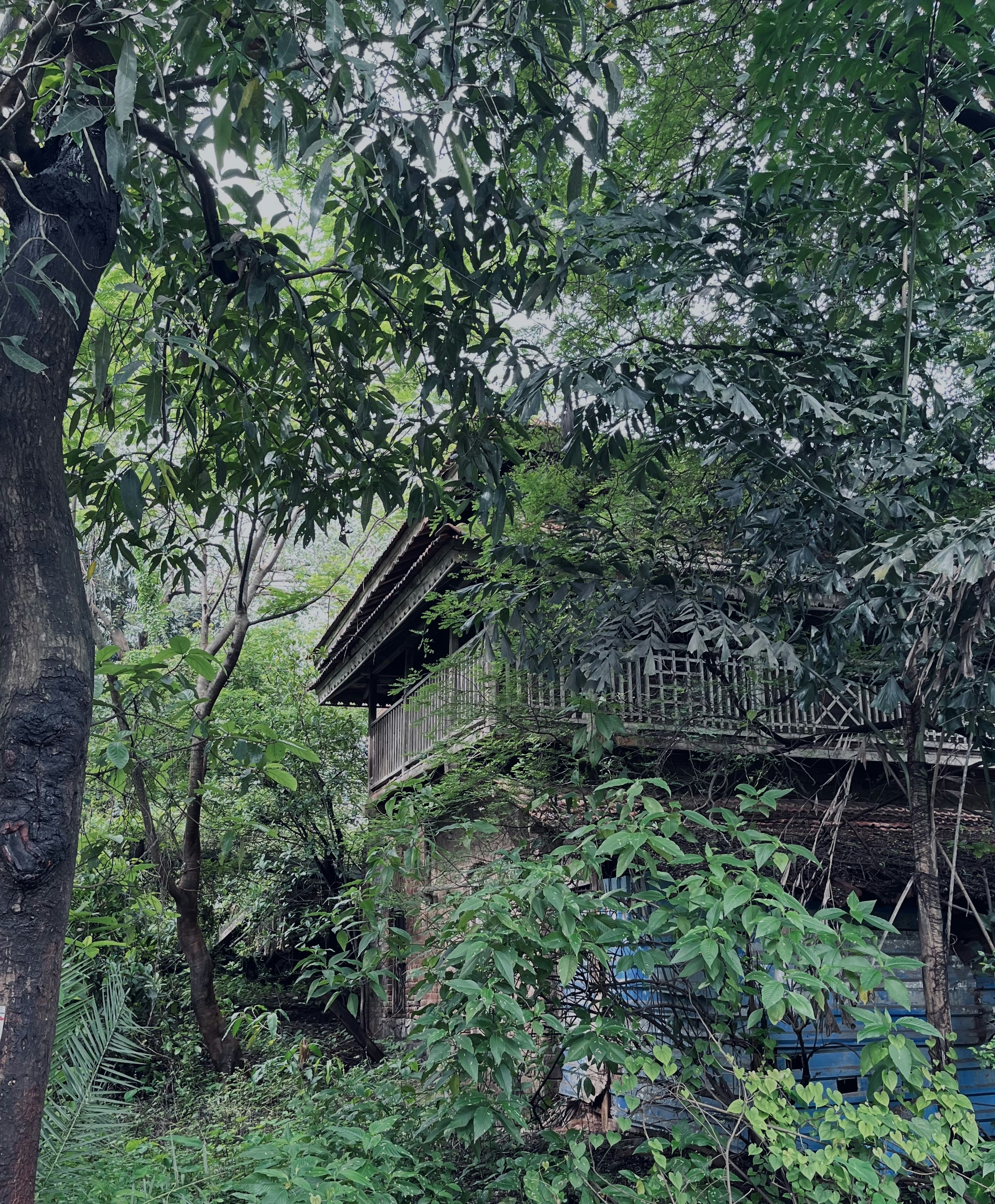 Photo by manoj_jangid007