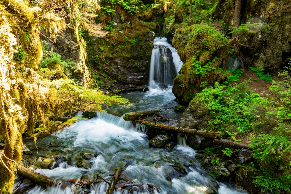 a small waterfall in the middle of a forest