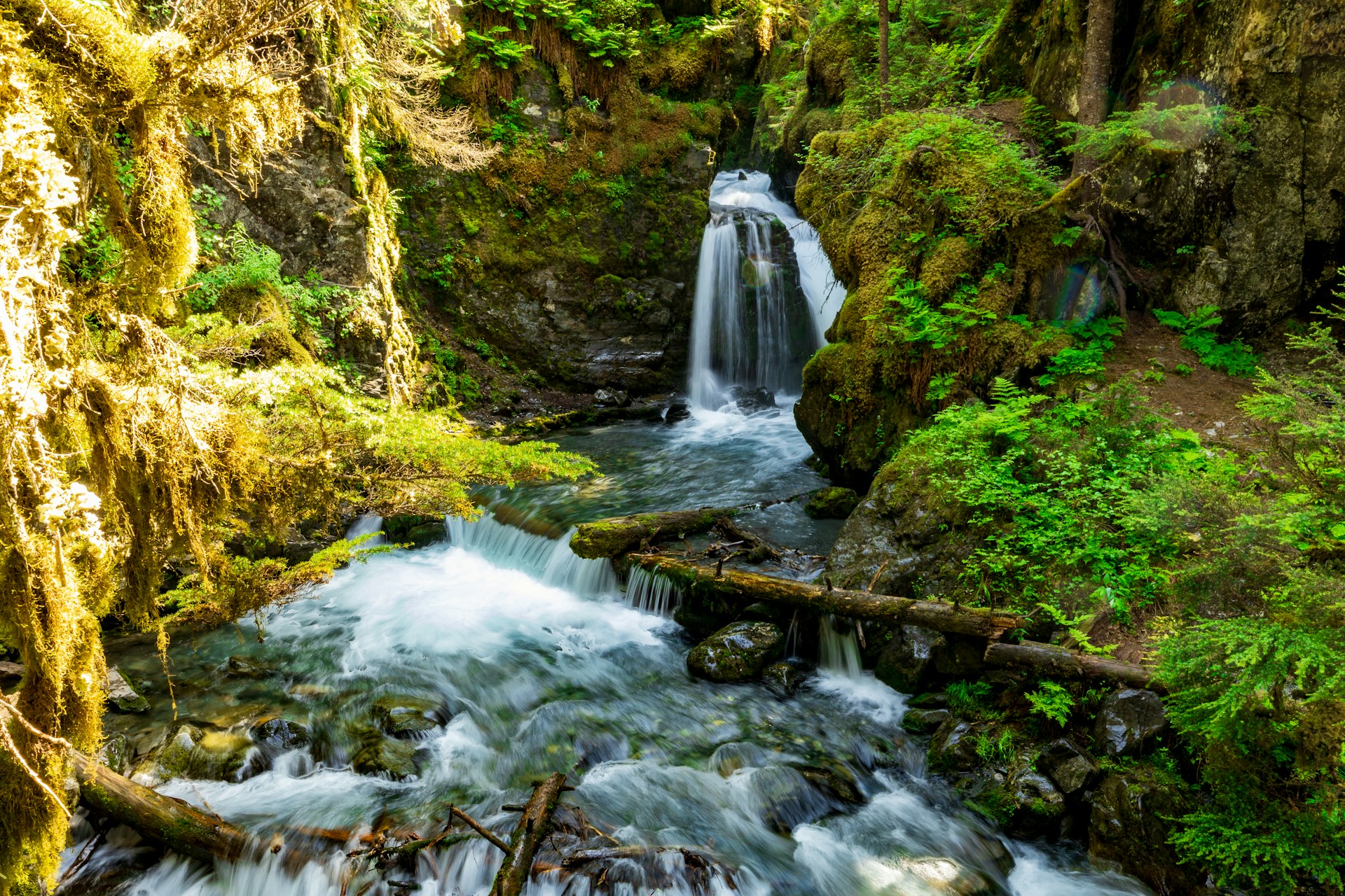 a small waterfall in the middle of a forest