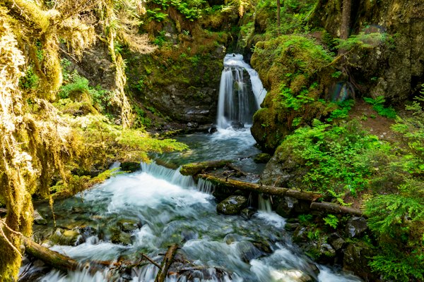 A small waterfall in the middle of a forest — Anchorage, United States