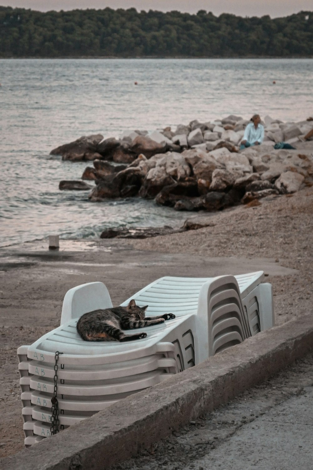 a cat laying on top of a white bench next to a body of water
