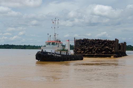 A tugboat is pulling a large barge stacked with cut logs on a wide river. The water is brownish, suggesting sediment or muddy conditions. Lush greenery is visible on the far bank under a cloudy sky.
