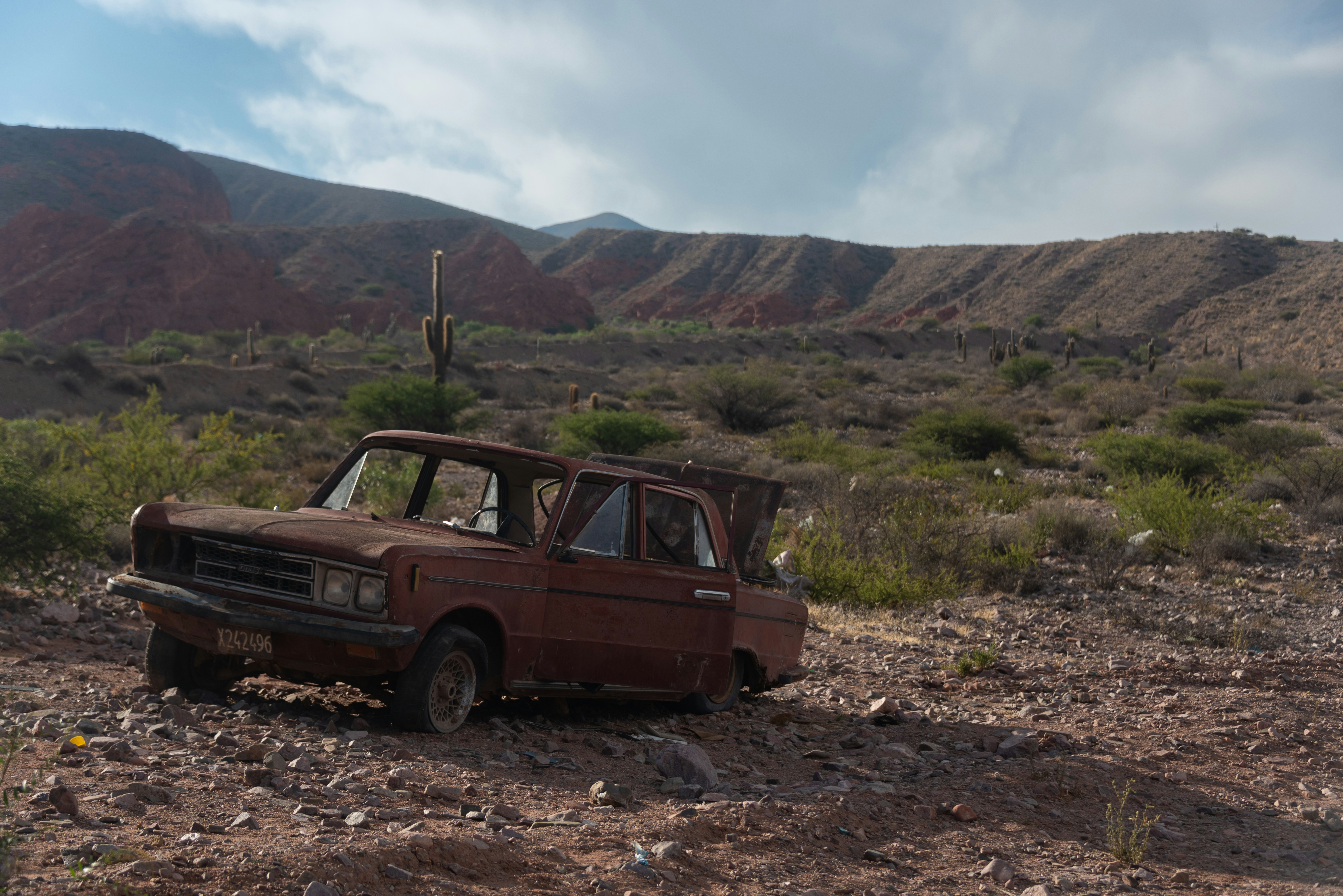 Photo by translytranslations