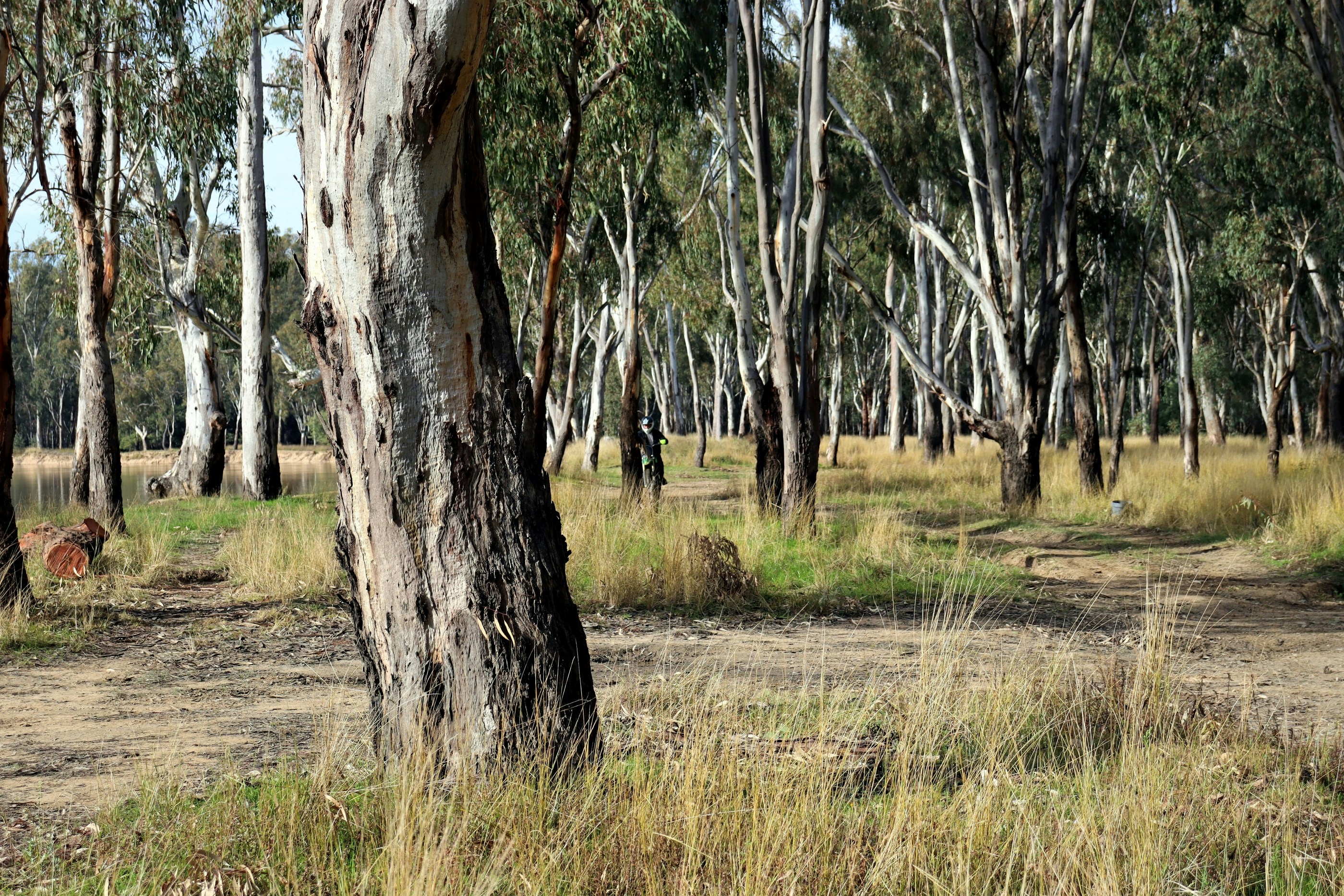 Photo by craigmanners_com