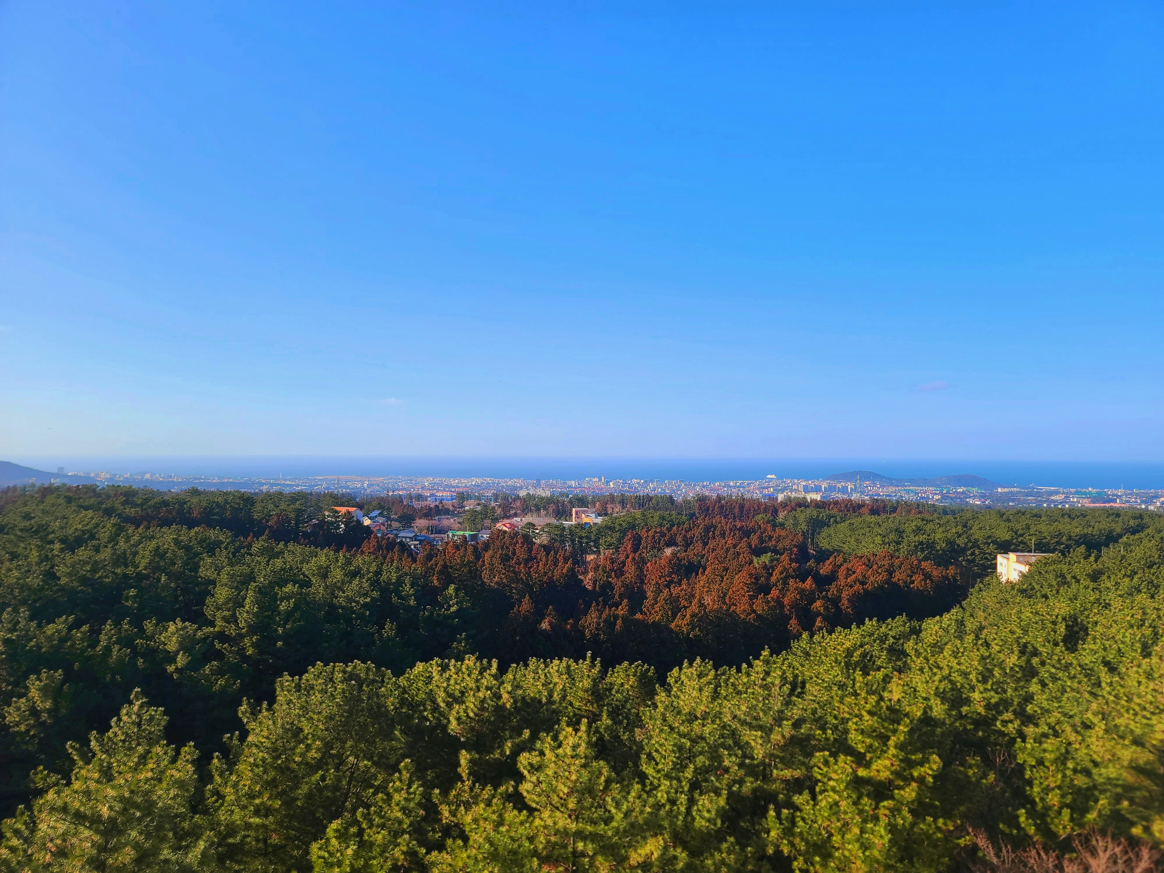 Photo by chadmin_pictures