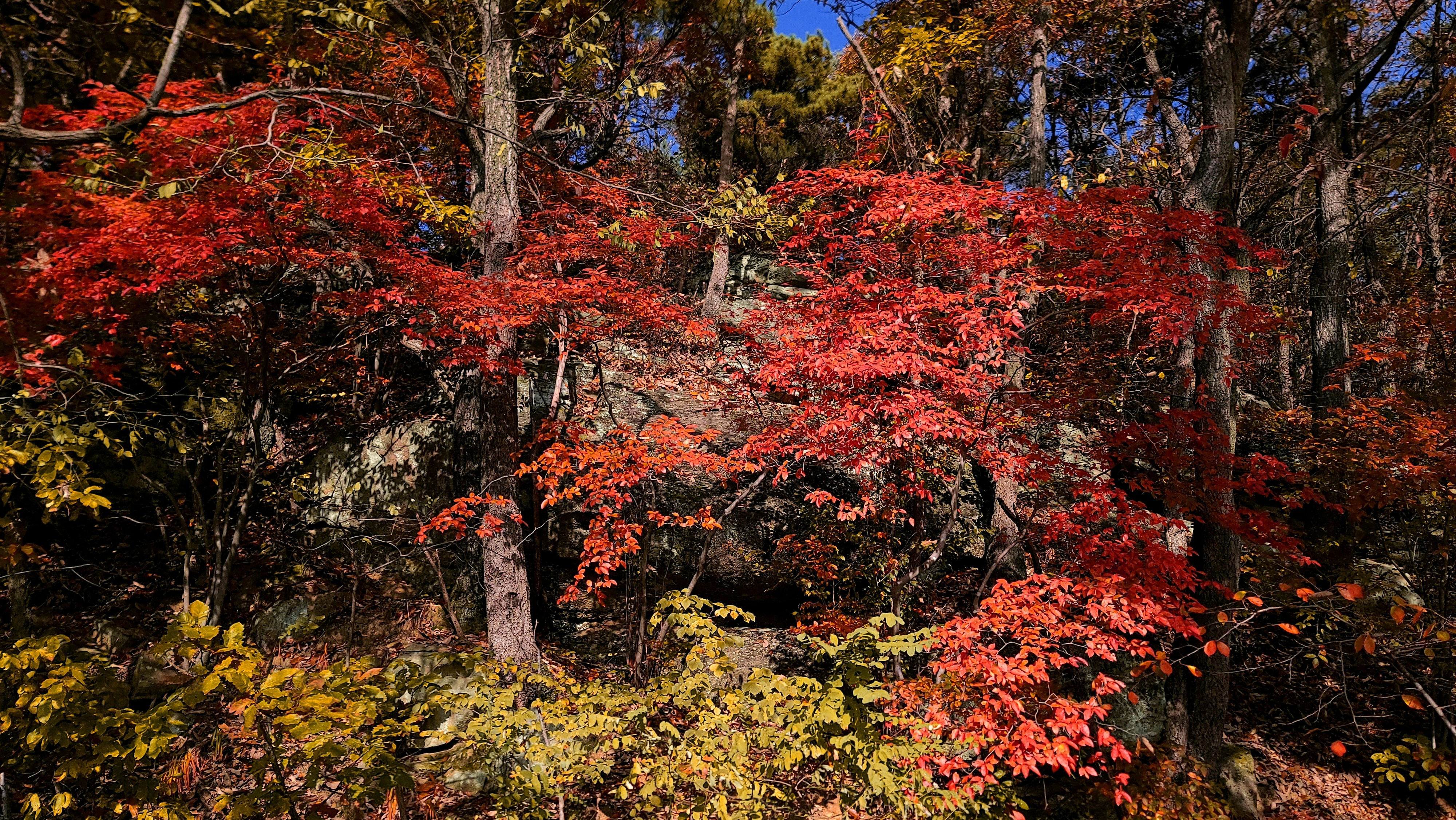 Photo by chadmin_pictures