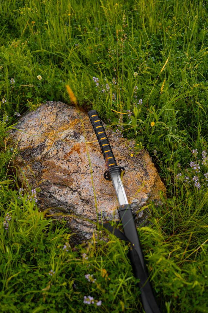 Full katana resting on a rock in the grass