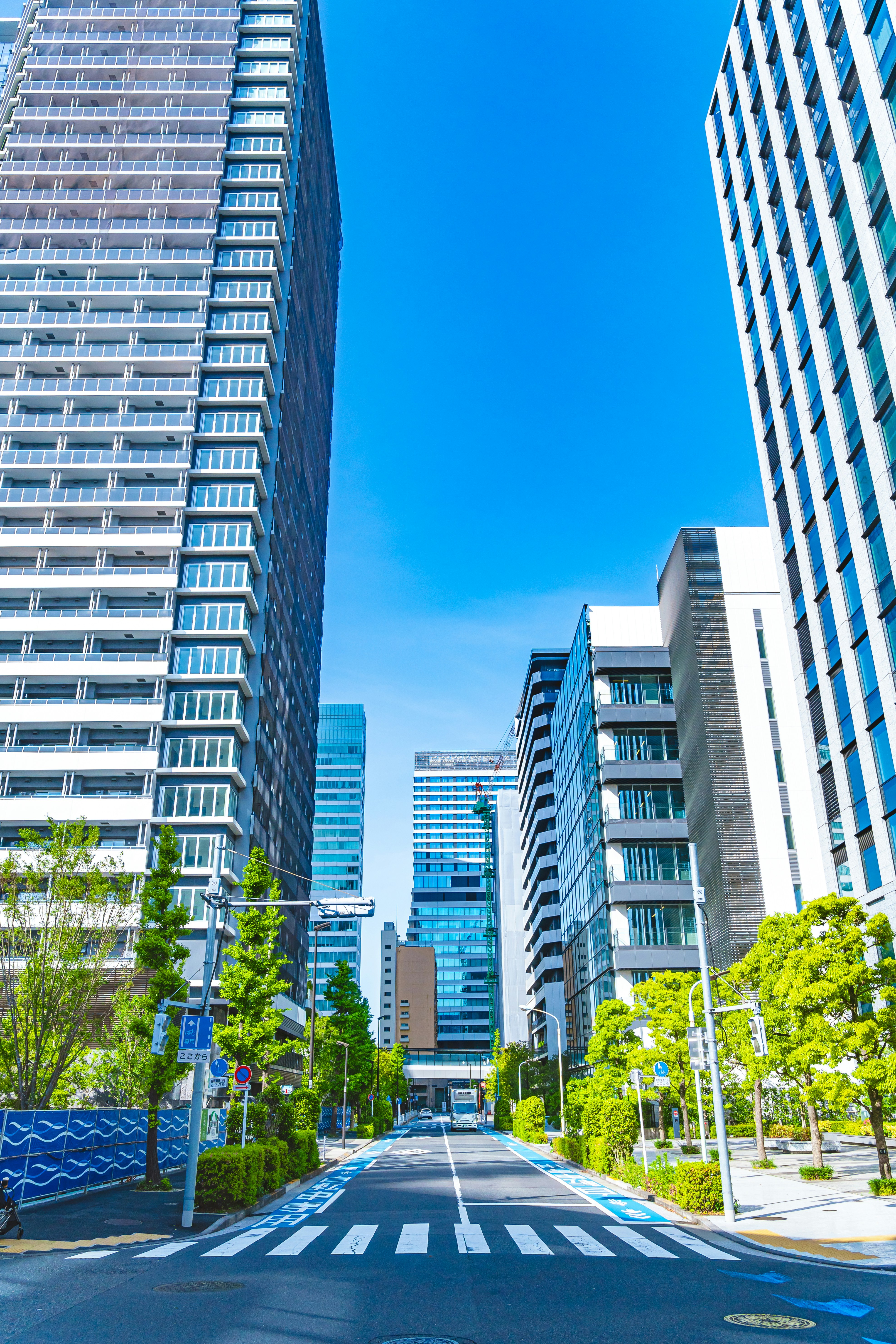 Electrovaya Expands Global Presence with New Japan Subsidiary to Support Growing Sales and Strategic Partnerships in Japan