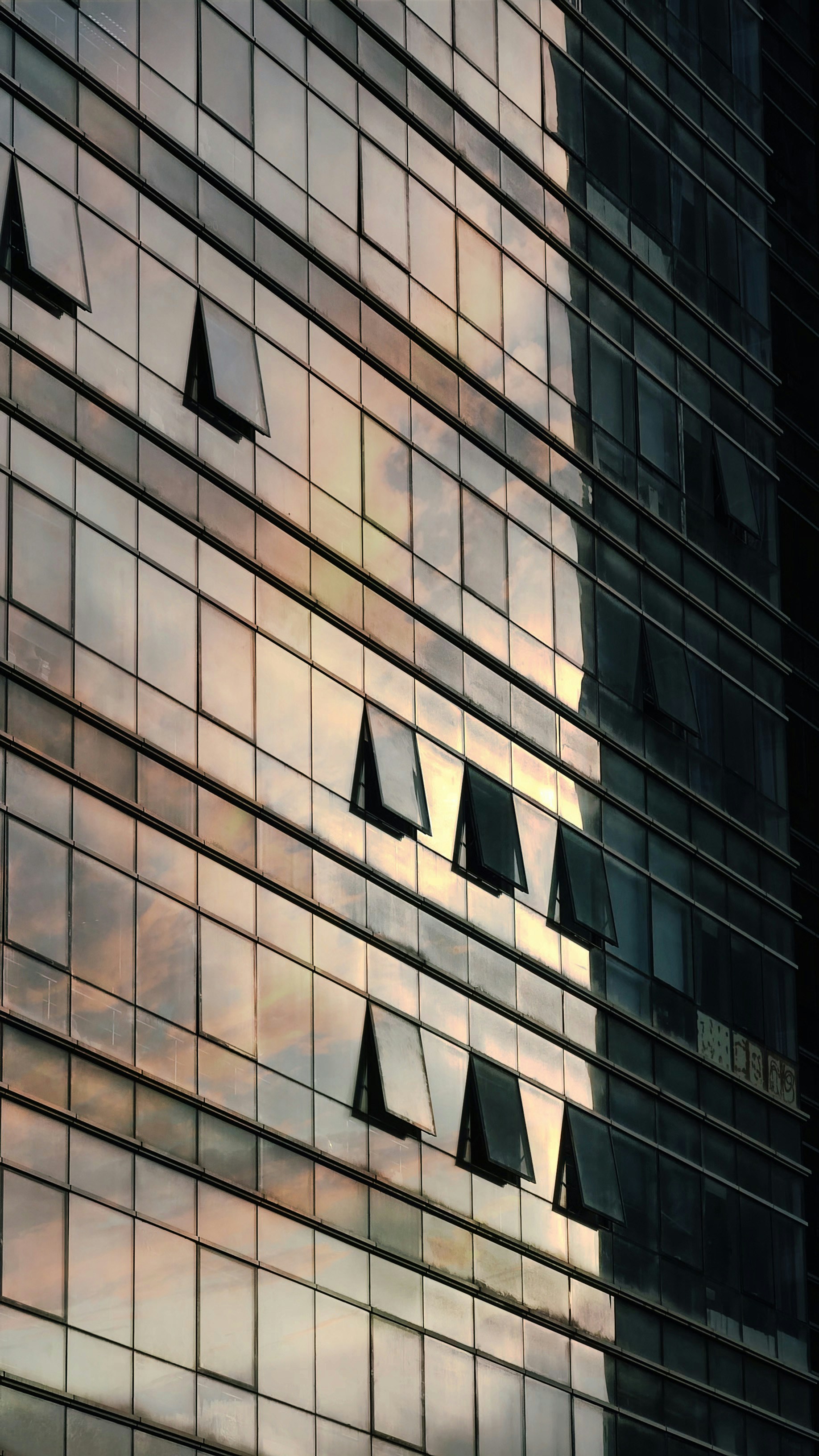 Photo by itisdangerous