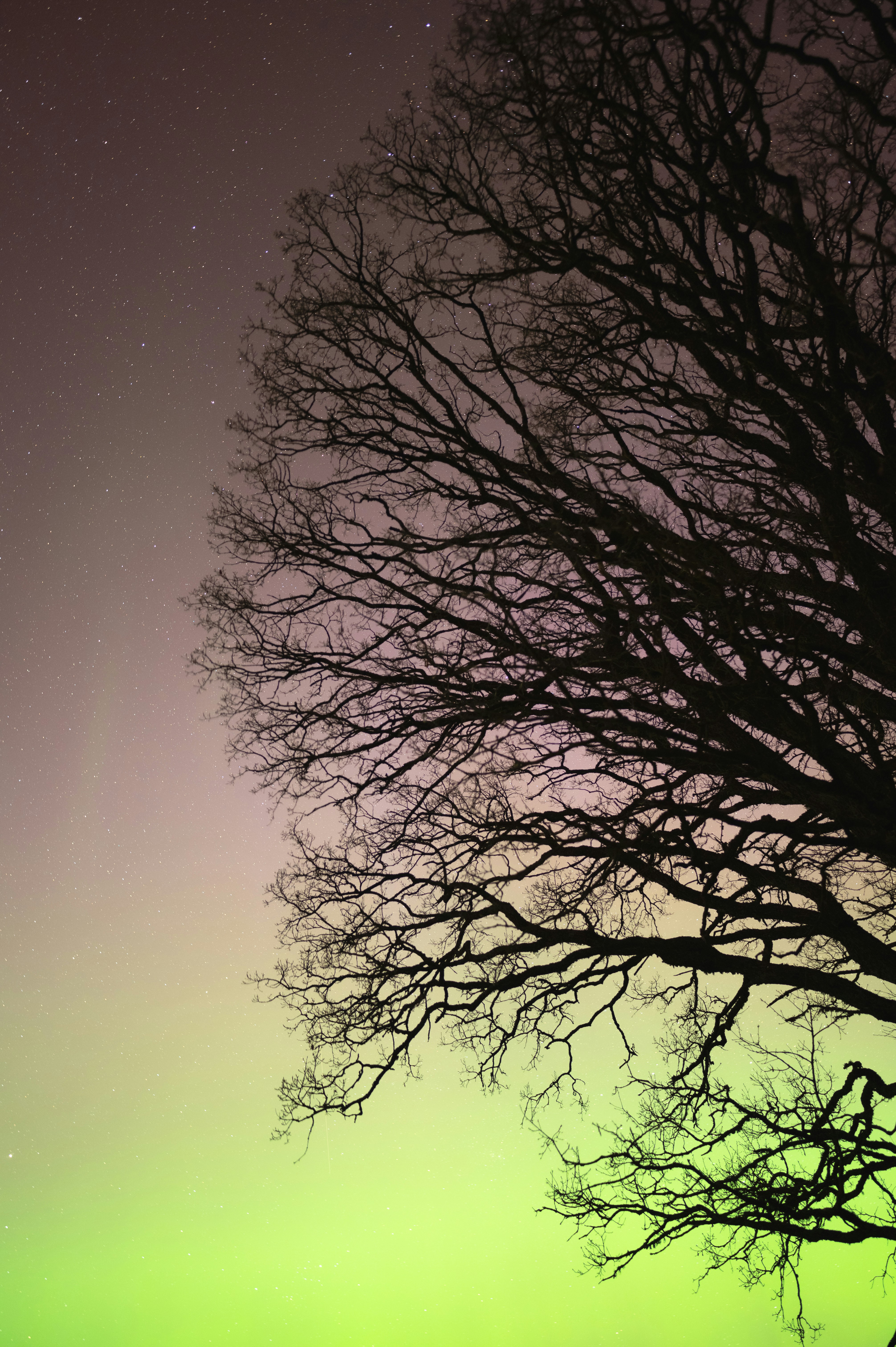 Awaken Your Potential