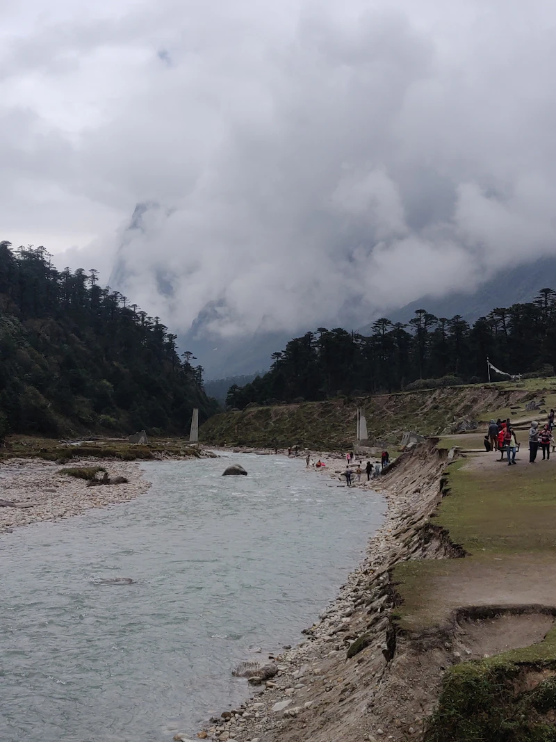Gangtok & Lachung Valley of Flowers Tour