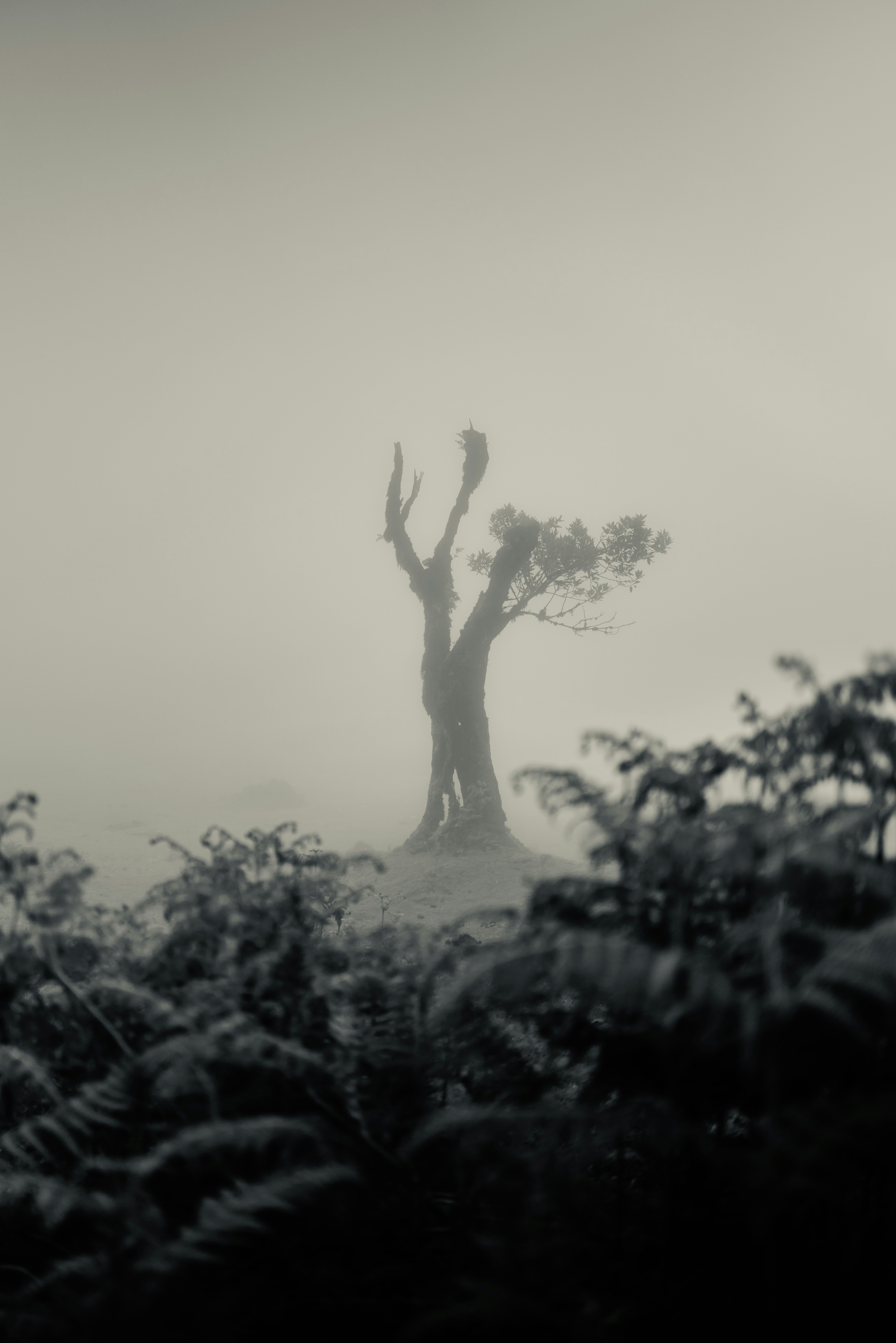 Photo by tmgrsnr