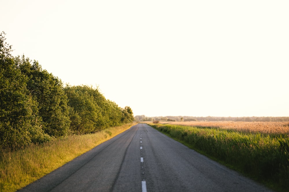 畑の真ん中にある空き路