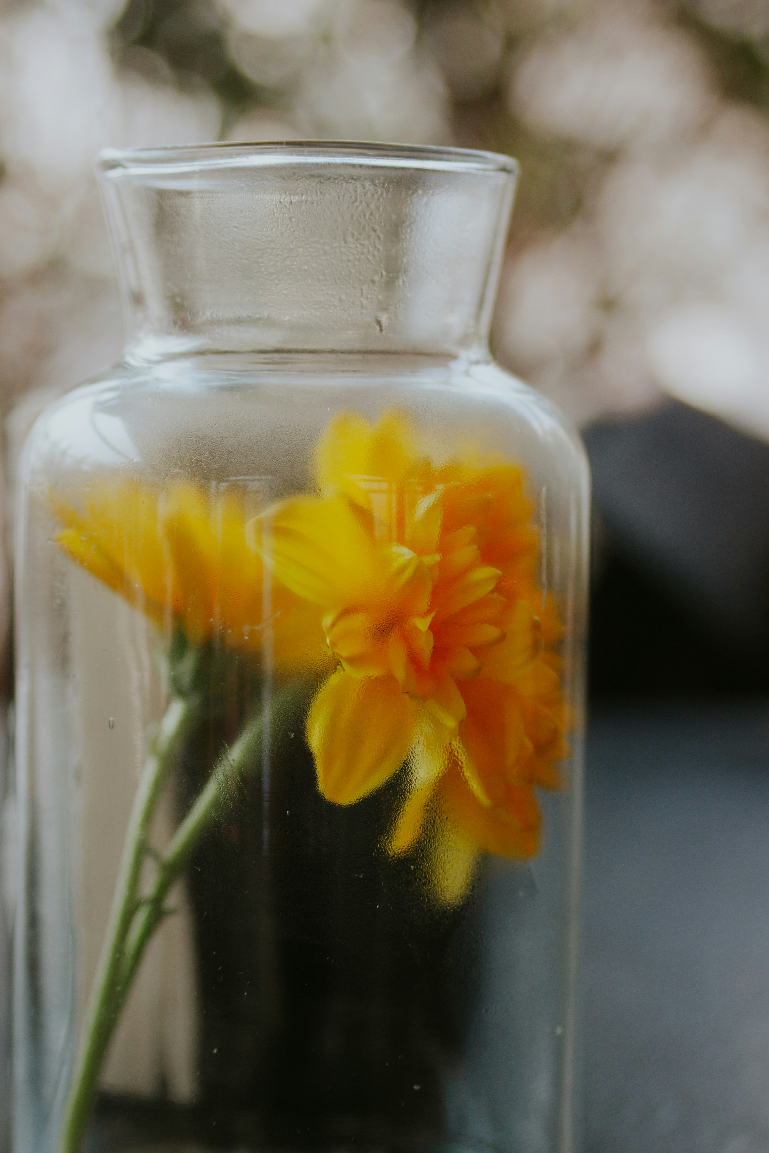 a glass vase filled with water and a yellow flower