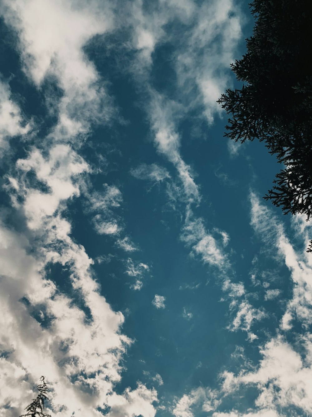 a blue sky filled with clouds and trees