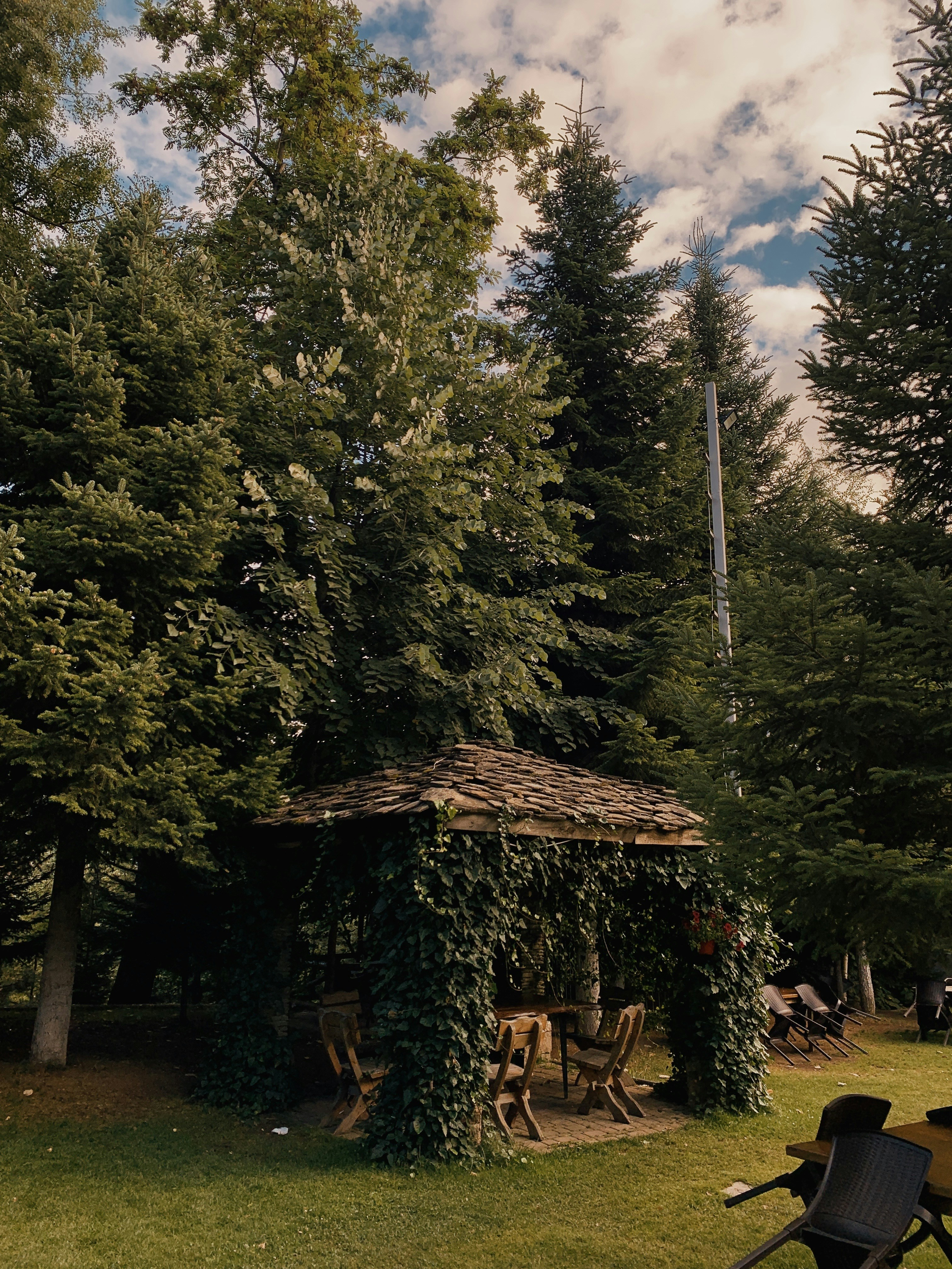 나무로 둘러싸인 잔디밭 한가운데에 있는 전망대