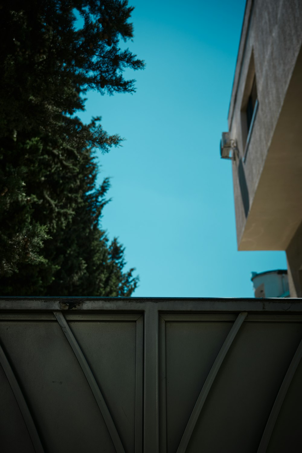 a bird perched on top of a metal fence