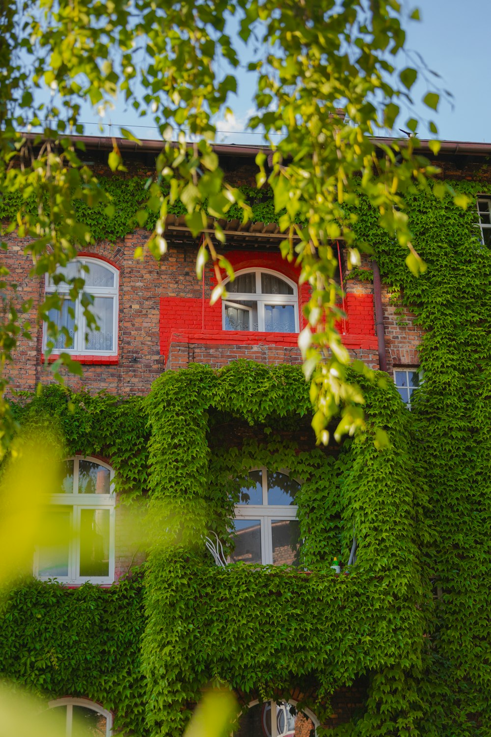 Ein mit Weinreben bewachsenes Gebäude mit rotem Fenster