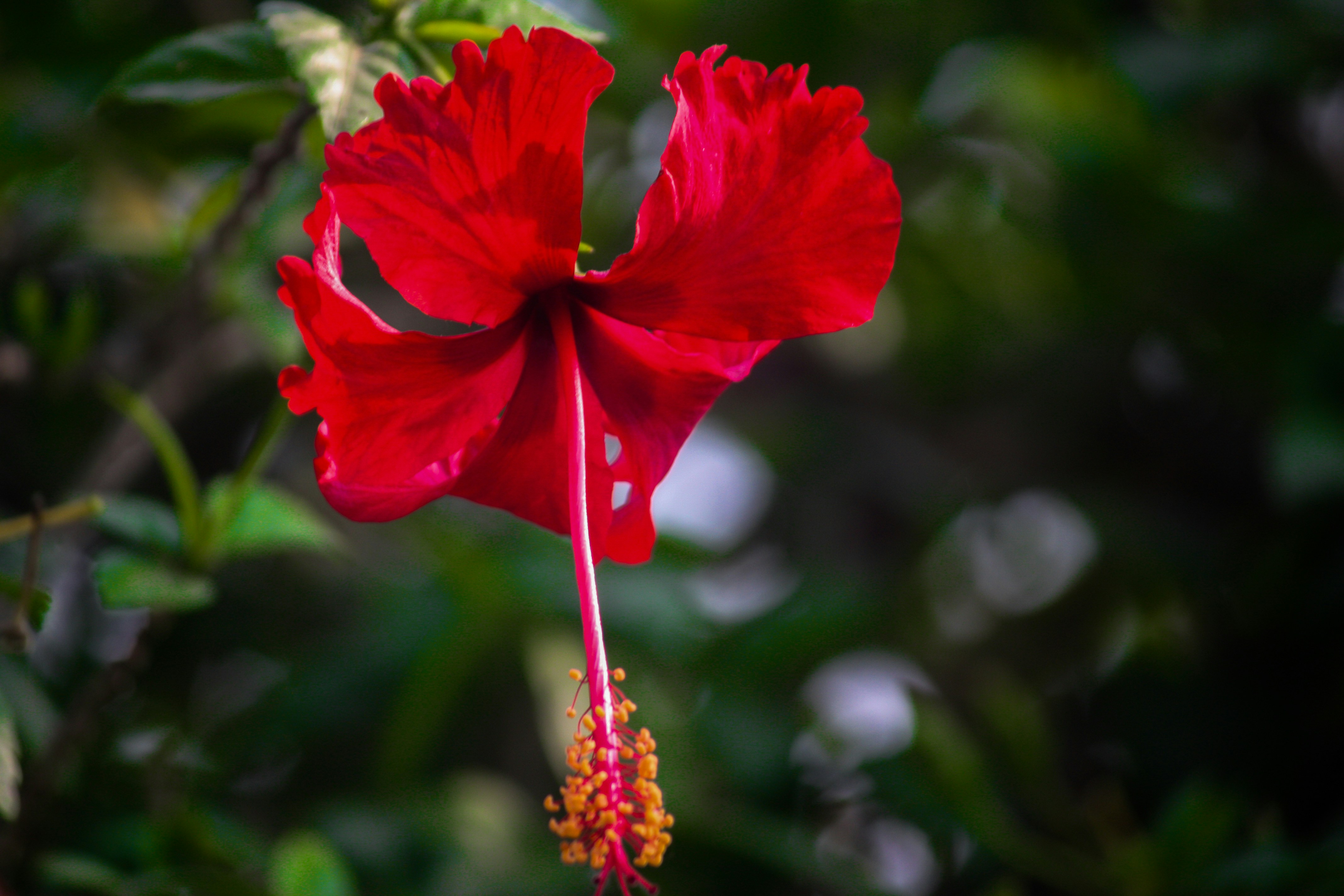 Photo by neelakshi_singh_