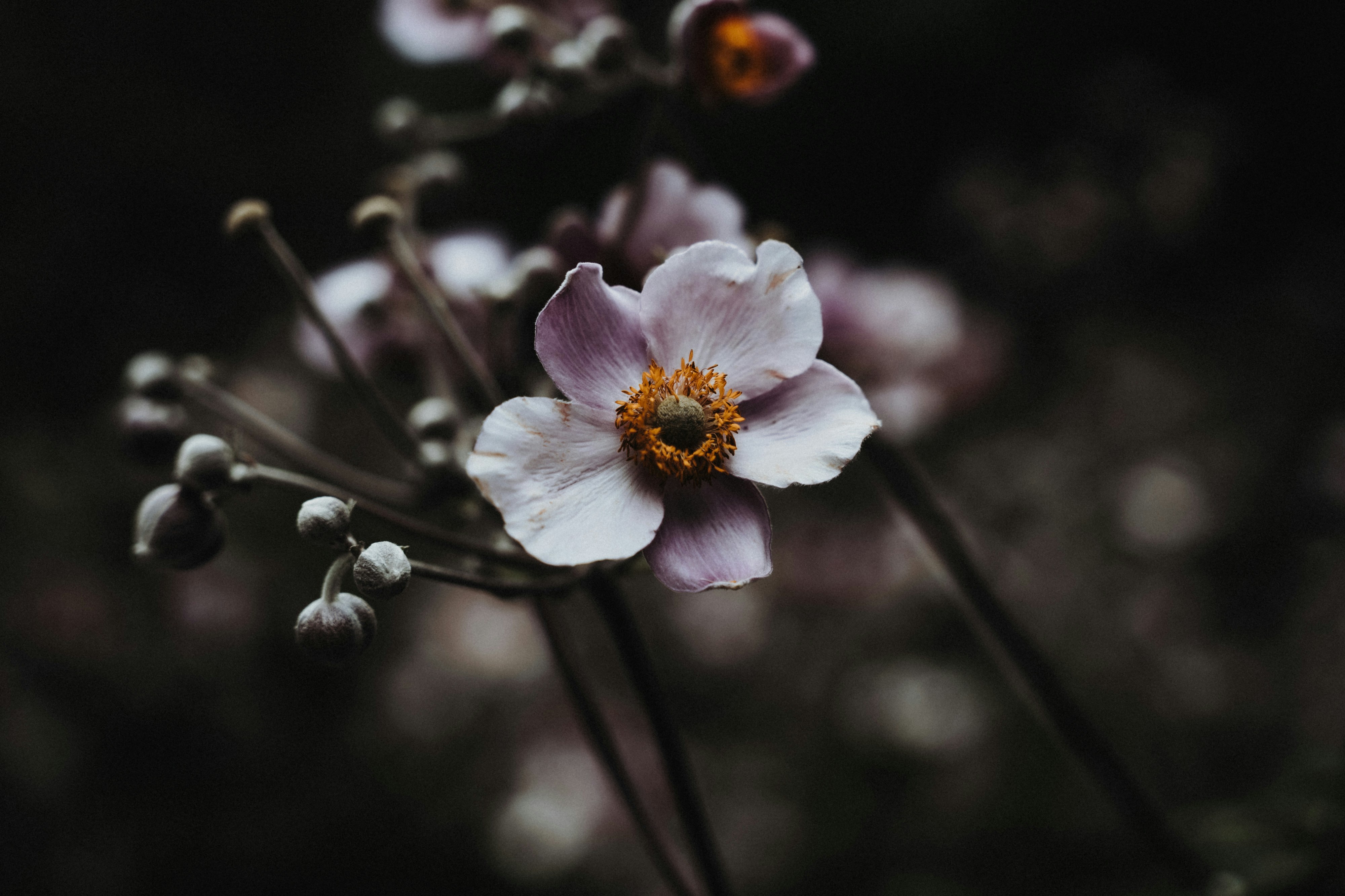 Photo by masoodaslami