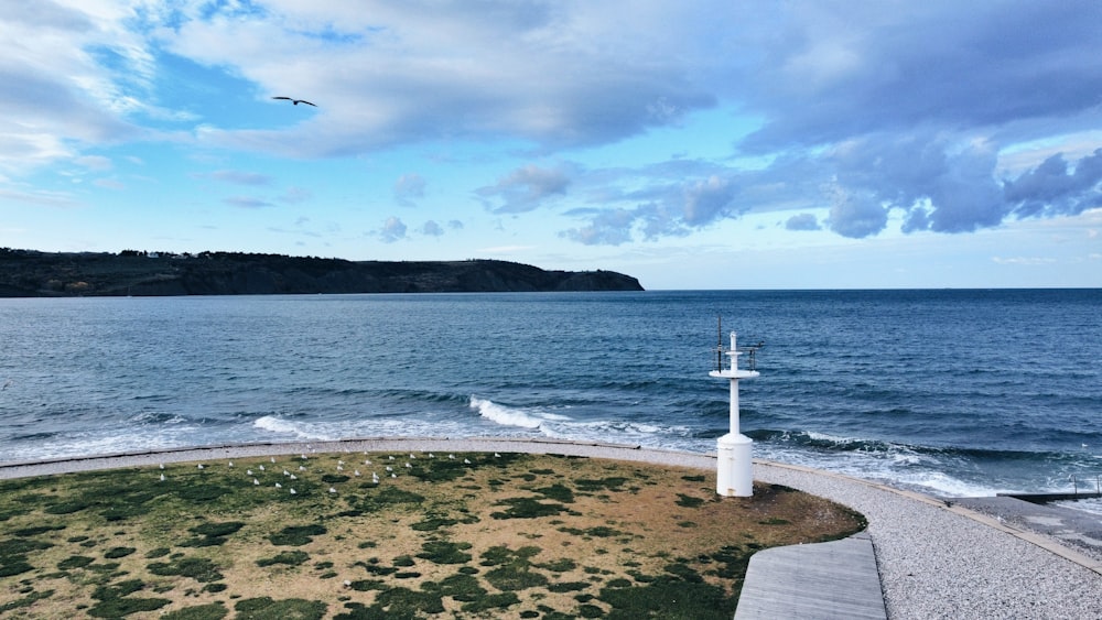 a bird flying over a body of water