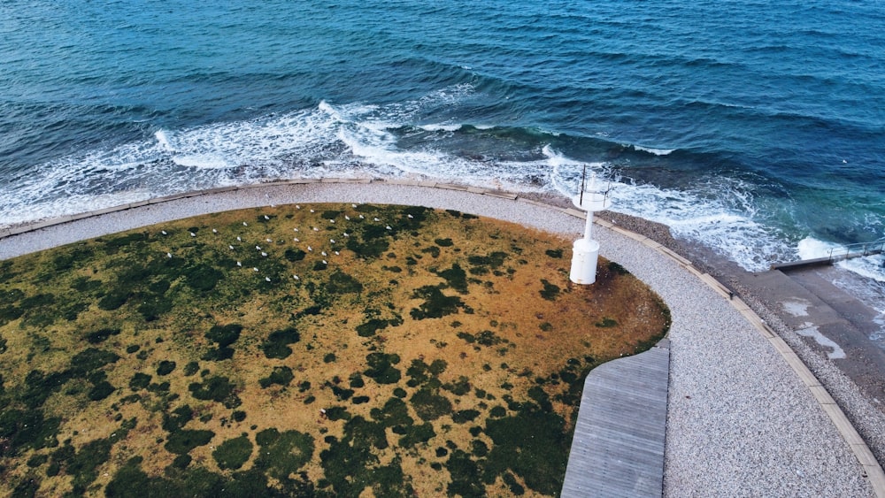 an aerial view of a grassy area next to the ocean