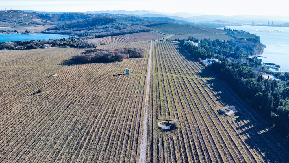 an aerial view of a farm with a lake in the background