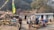 People dressed in hiking gear are gathered outside a stone building with a tin roof, likely a rest stop or lodge. There are colorful prayer flags and blooming flowers around the area. The background shows trees and a wooded area.