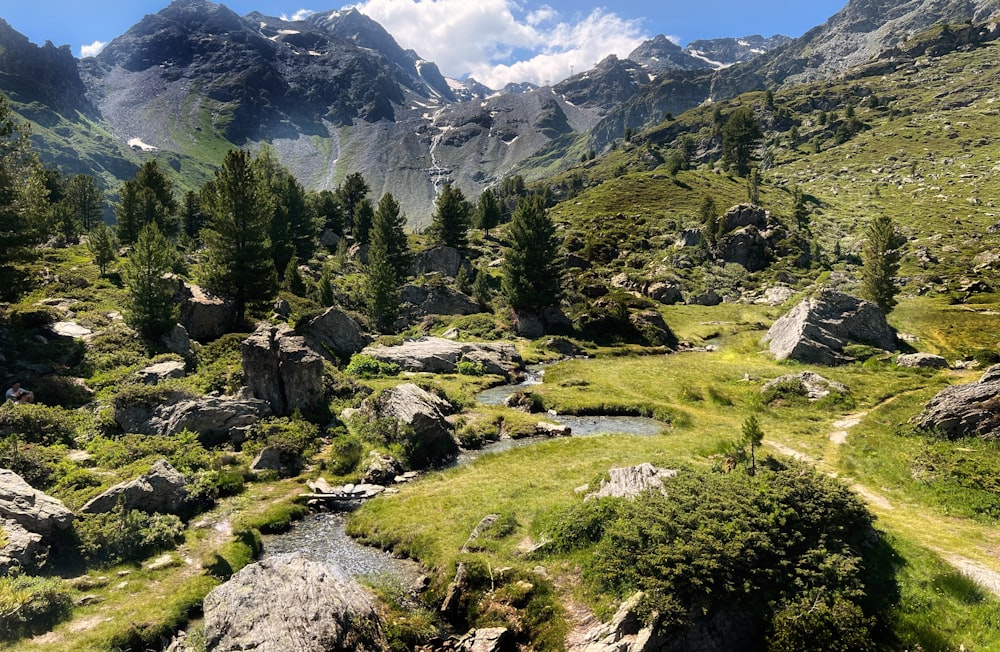 a small stream running through a lush green valley