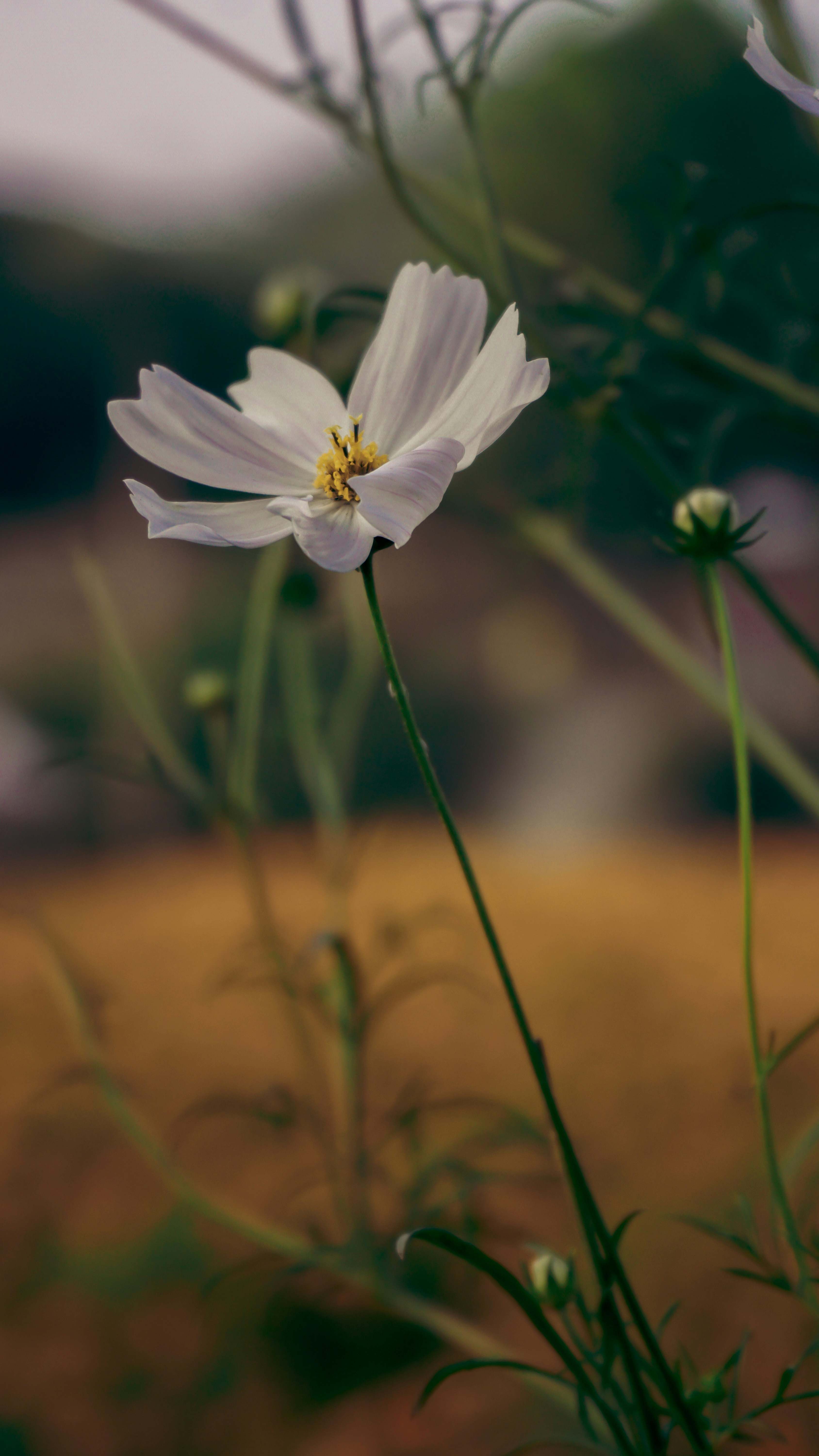 Photo by dilwaleteamofphotography