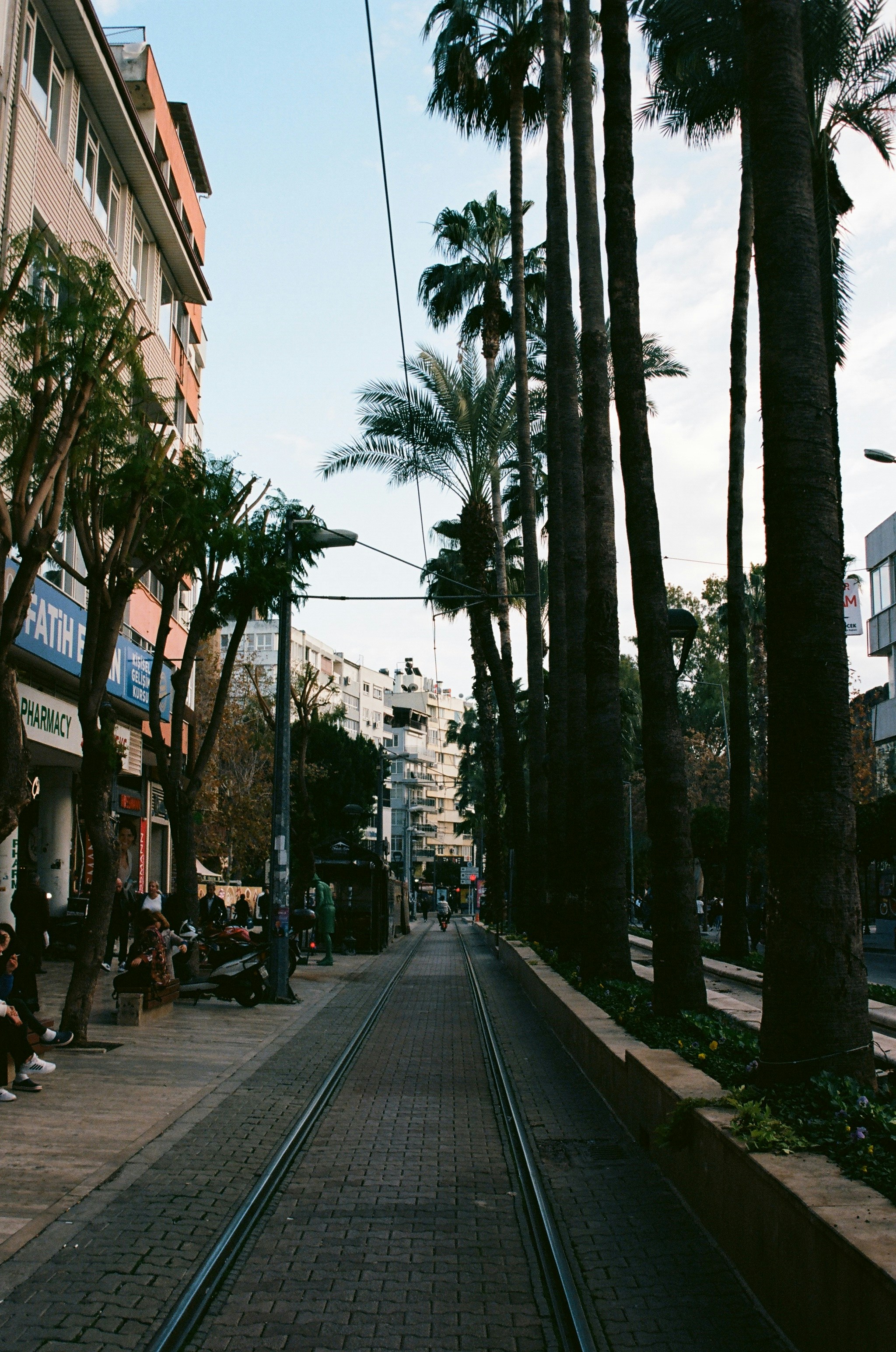 Photo by cosmvs