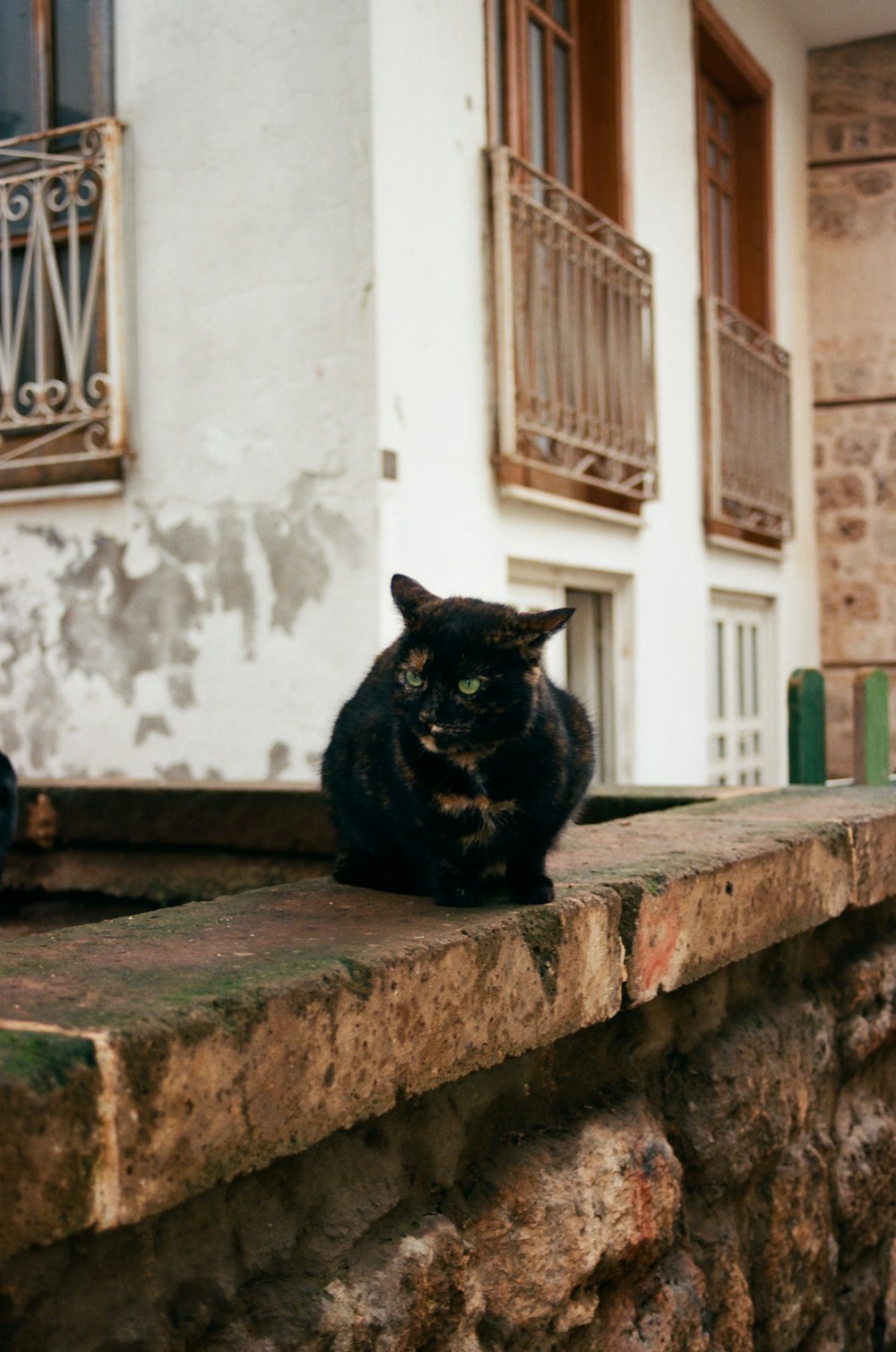 a black cat sitting on a ledge in front of a building