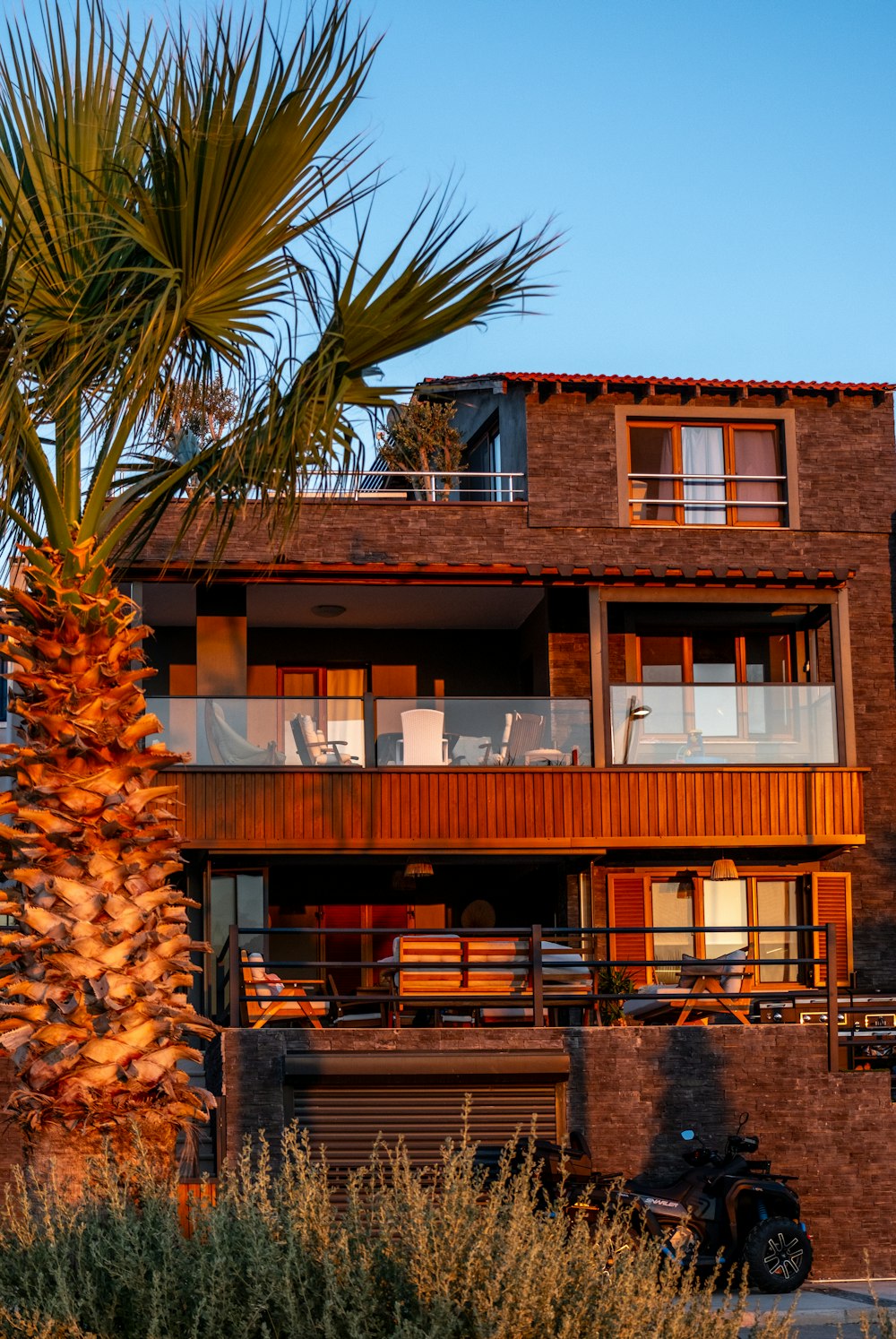 a palm tree in front of a brown building