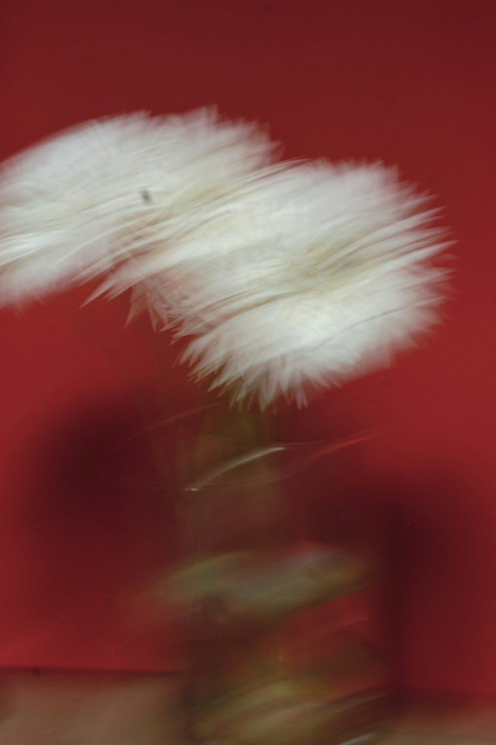 a blurry photo of a flower in a vase