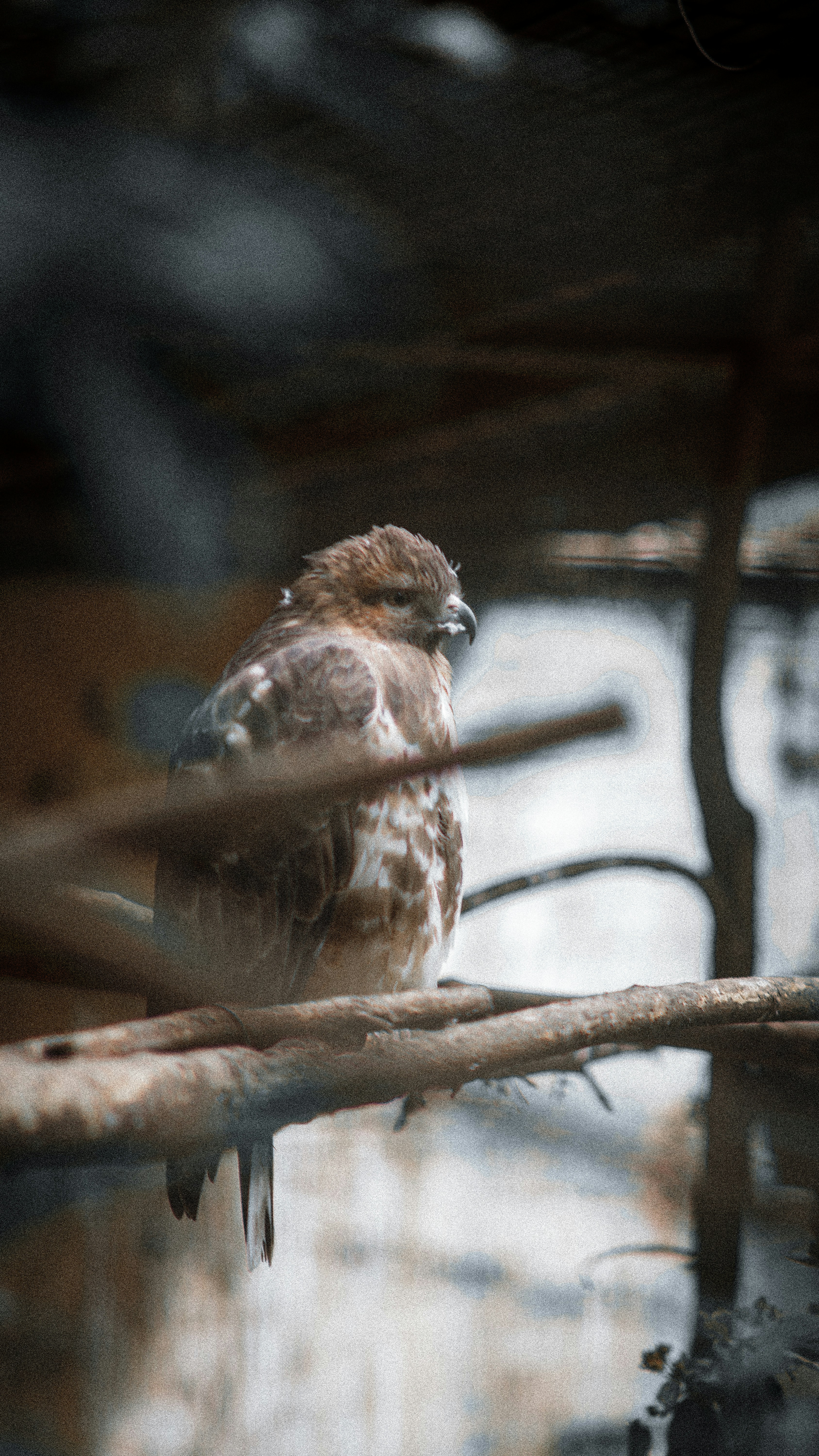 Photo by alekseyryan