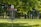 A disc golf basket is situated in a lush green park setting, surrounded by trees with bright green leaves. The basket is marked with a number '6', and chains are visible hanging from the top of the basket structure. Sunlight filters through the leaves, casting dappled shadows on the grass.