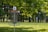 A disc golf basket is situated in a lush green park setting, surrounded by trees with bright green leaves. The basket is marked with a number '6', and chains are visible hanging from the top of the basket structure. Sunlight filters through the leaves, casting dappled shadows on the grass.
