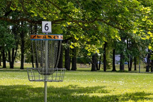 A disc golf basket is situated in a lush green park setting, surrounded by trees with bright green leaves. The basket is marked with a number '6', and chains are visible hanging from the top of the basket structure. Sunlight filters through the leaves, casting dappled shadows on the grass.