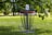 A disc golf basket with a number 6 sign is situated in a vibrant green park setting. The basket is adorned with chains and an orange band featuring silhouettes of various animals. Lush green trees hang overhead, casting a pleasant shade.