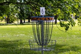 A disc golf basket with a number 6 sign is situated in a vibrant green park setting. The basket is adorned with chains and an orange band featuring silhouettes of various animals. Lush green trees hang overhead, casting a pleasant shade.